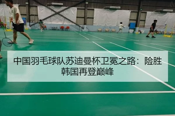 中国羽毛球队苏迪曼杯卫冕之路：险胜韩国再登巅峰
